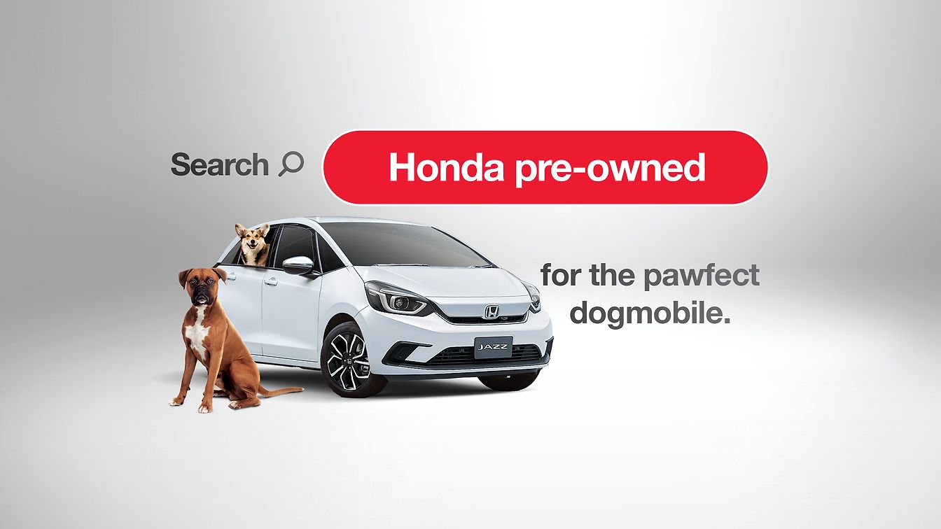 Used Car Promotion