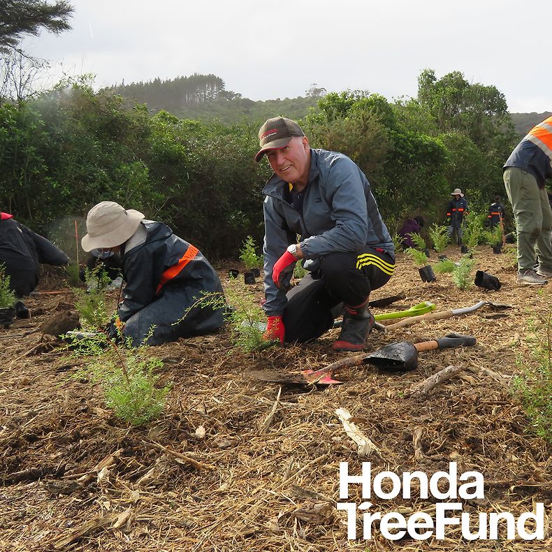 Honda Treefund