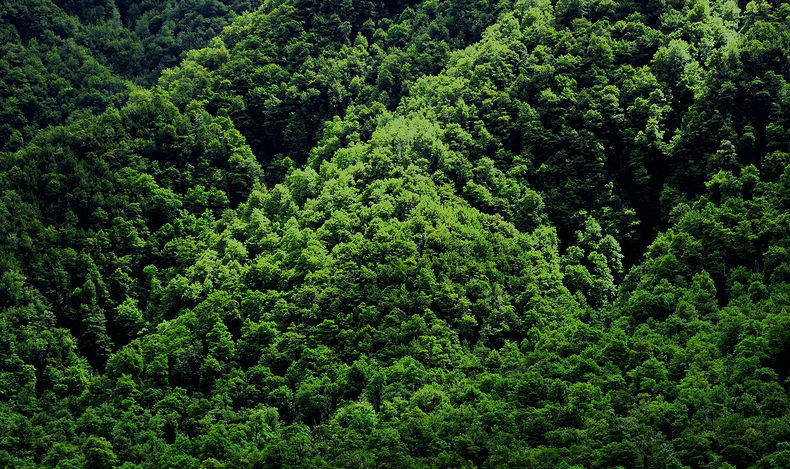 Environment